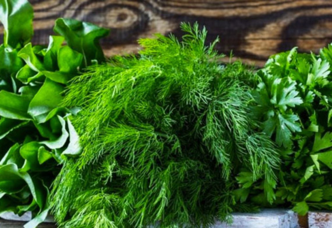 მწვანილის ექსპორტი – 15%-ით, ხოლო ღირებულება 22%-ით გაიზარდა – სოფლის მეურნეობის სამინისტრო