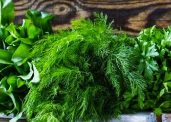 მწვანილის ექსპორტი – 15%-ით, ხოლო ღირებულება 22%-ით გაიზარდა – სოფლის მეურნეობის სამინისტრო