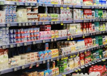 საქართველომ წელს ყველაზე მეტი იოგურტი რუსეთიდან იყიდა