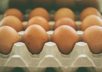 შესაძლოა, აღდგომის დღესასწაულის შემდეგ საქართველოში კვერცხი გაძვირდეს