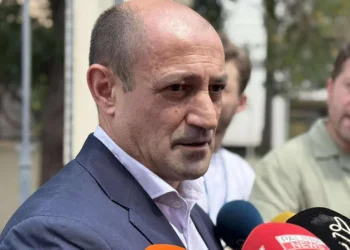 “ვლადიმერ ღუდუშაური აღიარებს დანაშაულს და მოლოდინი გვაქვს, რომ საქმე საპროცესო შეთანხმებით დასრულდება” – ადვოკატი