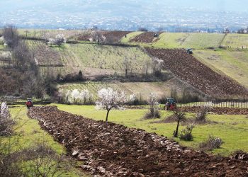 ქვემო ქართლში გზის მშენებლობის გამო რამდენიმე მოქალაქეს ქონებას იძულებით ჩამოართმევენ –  BPN