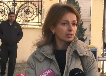 “არანაირი მტკიცებულება არ აქვთ, მოწმე არ ჰყავთ, არ ვიცი, რა უნდა გააკეთონ, ალბათ, დავლურს ჩამოუვლიან, ან კალინკას იცეკვებენ პროკურორი და მოსამართლე” – ბაჩო ახალაიას მეუღლე