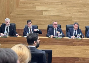 სემეკი ელექტროენერგიის ტარიფის დადგენის შესახებ მსჯელობს