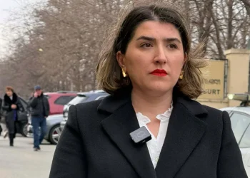 ძმები მიქაძეების ადვოკატი აცხადებს,რომ პოლიციელის პატაკში გადმოცემული ტექსტი ძალიან ჰგავს საქმეში ბრალდების მხარის ერთ-ერთი მოწმის, კოკა მორგოშიას მიერ მიცემულ ჩვენებას