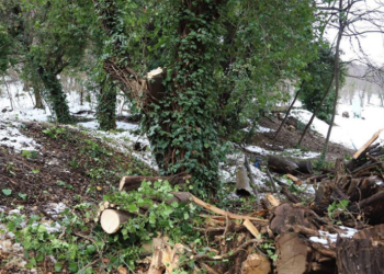 “ისტორიაში ერთ-ერთი ყველაზე მასშტაბური ზიანი მიადგა” – ბოტანიკური ბაღი ვიზიტორებისთვის დროებით დაიკეტა