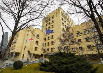 დამამძიმებელ გარემოებებში ჩადენილი განზრახ მკვლელობის ფაქტზე ბრალდებულს 20 წლით თავისუფლების აღკვეთა მიესაჯა