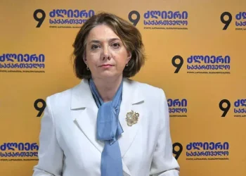 “”ქართული ოცნება” სწრაფად ემსგავსება ჭაობში ჩავარდნილ ადამიანს”- სალომე სამადაშვილი