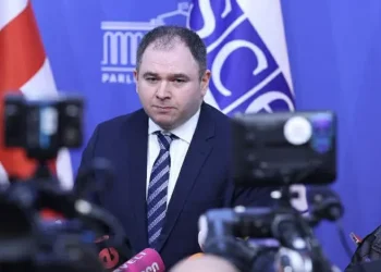 “ფხიზელ გონებაზე მყოფი ადამიანი ვერ იტყვის, რომ საქართველოში რუსეთი იმარჯვებს” – ნიკოლოზ სამხარაძე