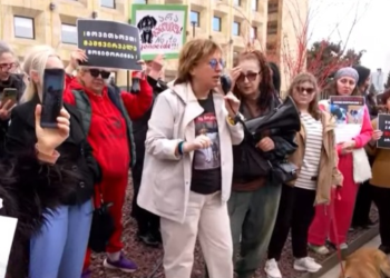 “დააბრუნეთ მოპარული ძაღლები!” – მთავრობის ადმინისტრაციასთან აქცია გაიმართა