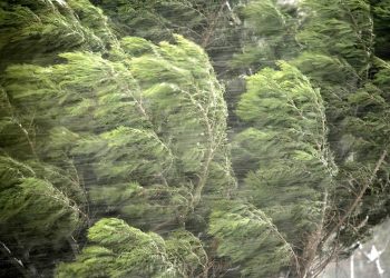 მოსალოდნელია ძლიერი ქარი – გაფრთხილება ამინდის შესახებ