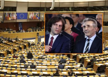 რა წერია ევროპარლამენტარების რეზოლუციის პროექტებში?