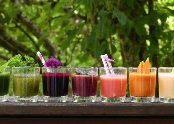 მეცნიერებმა დაასახელეს წვენი, რომელიც ორგანიზმს ცხიმიან საკვებთან გამკლავებაში ეხმარება