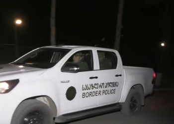 სასაზღვრო პოლიციამ ნარკოტიკული საშუალების უკანონო შეძენა-შენახვა და საქართველოში ნარკოტიკული საშუალების უკანონოდ შემოტანის ფაქტზე ერთი პირი დააკავა