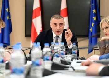 რატომ შეაჩერა ფასების შემსწავლელმა კომისიამ მუშაობა? – რა პასუხი აქვთ “ქართულ ოცნებაში”