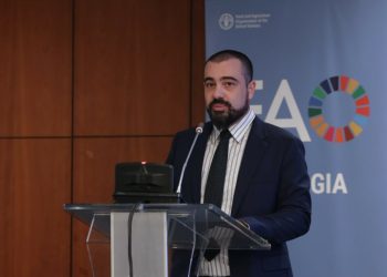 “29 ცხოველიდან, რომლებსაც ჩაუტარდათ სტერილიზაცია-კასტრაცია, 12 დღეს დაბრუნდება ზუგდიდის ტერიტორიაზე, დანარჩენი 17 მას შემდეგ, რაც რეაბილიტაციის პერიოდი გაივლის” – ლაშა ავალიანი