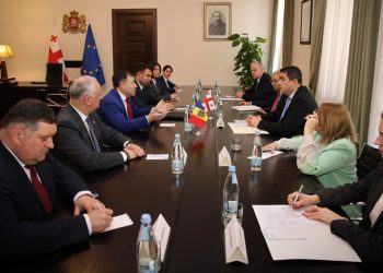 შალვა პაპუაშვილი მოლდოვის საპარლამენტო დელეგაციას შეხვდა