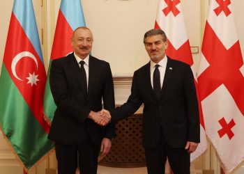 მიხეილ ყაველაშვილმა ილჰამ ალიევთან პირისპირ შეხვედრა გამართა