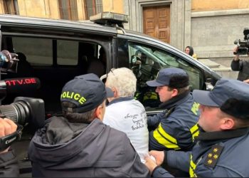 სამართალდამცველებმა პარლამენტის მიმდებარე ტერიტორიასთან ერთი პირი დააკავეს