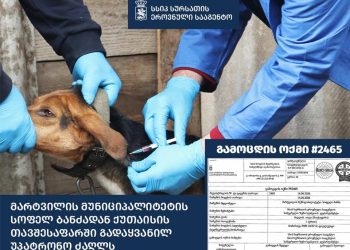 სურსათის ეროვნული სააგენტო განცხადებას ავრცელებს