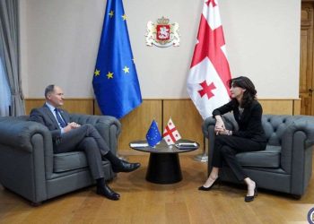 ავლაბრის რეზიდენციაში მაკა ბოჭორიშვილსა და პაველ ჰერჩინსკის შორის შეხვედრა დასრულდა