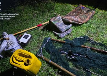 გარემოსდაცვითი ზედამხედველობის დეპარტამენტმა ქვემო ქართლში ბრაკონიერობის ფაქტი გამოავლინა