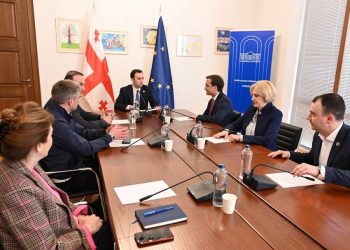 ევროპასთან ინტეგრაციის კომიტეტის თავმჯდომარის მოადგილედ თორნიკე ფაღავა აირჩიეს