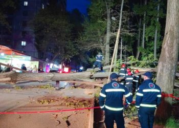 გლდანში ძლიერმა ქარმა ხეები წააქცია – რა ვიტარებაა ადგილზე