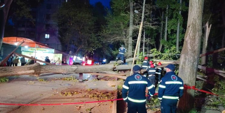 გლდანში ძლიერმა ქარმა ხეები წააქცია – რა ვიტარებაა ადგილზე