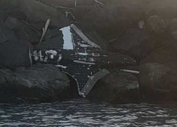 ყულევის სანაპიროზე გამორიყული დრონის ფაქტზე გამოძიება დავიწყეთ – შსს