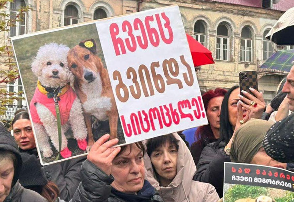 “სად გააქრეთ ჩვენი მეგობრები?…არა ძაღლ კლა” – ამ წუთებში მთავრობის ადმინისტრაციის შენობასთან ცხოველთა მოყვარულები და უფლებადამცველები აქციას მართავენ