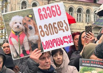“სად გააქრეთ ჩვენი მეგობრები?…არა ძაღლ კლა” – ამ წუთებში მთავრობის ადმინისტრაციის შენობასთან ცხოველთა მოყვარულები და უფლებადამცველები აქციას მართავენ