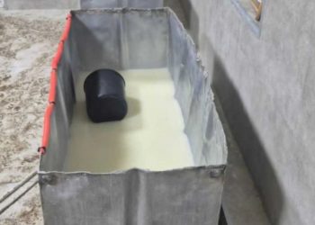 სურსათის ეროვნულმა სააგენტომ თერჯოლაში ყველის არალეგალური საწარმო გამოავლინა