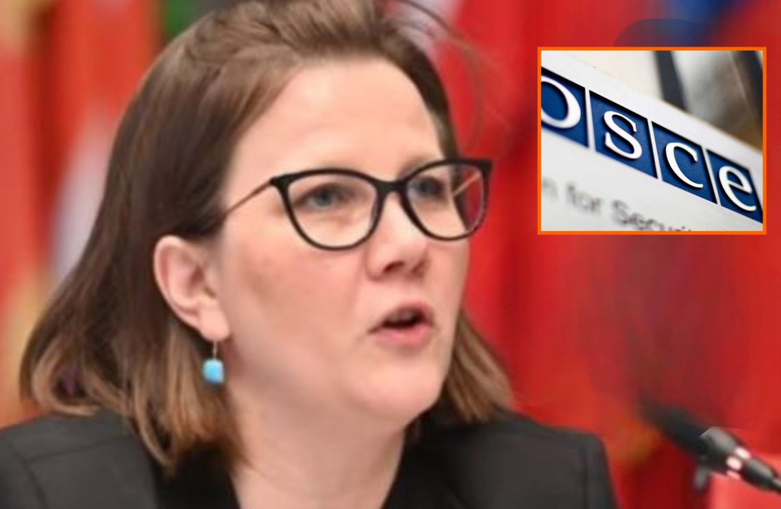 “შევნიშნე, რომ ხელისუფლების რეაქცია განსაკუთრებით მტრულია ჩემი ანგარიშის რეკომენდაციების ნაწილის მიმართ. ასევე, ჩემი აზრით, ანგარიშში ფაქტები წარმოდგენილია სამართლიანად, სხვადასხვა ჩართული პირის, მათ შორის, საქართველოს ხელისუფლების პოზიციის დაფიქსირებით” –  მოსკოვის მექანიზმის მომხსენებელი