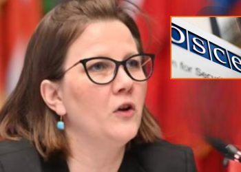 “შევნიშნე, რომ ხელისუფლების რეაქცია განსაკუთრებით მტრულია ჩემი ანგარიშის რეკომენდაციების ნაწილის მიმართ. ასევე, ჩემი აზრით, ანგარიშში ფაქტები წარმოდგენილია სამართლიანად, სხვადასხვა ჩართული პირის, მათ შორის, საქართველოს ხელისუფლების პოზიციის დაფიქსირებით” –  მოსკოვის მექანიზმის მომხსენებელი