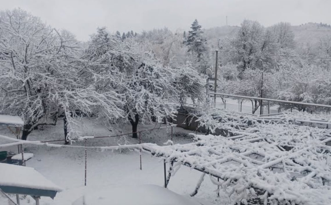 რაჭაში 14 აპრილს თოვლი მოვიდა