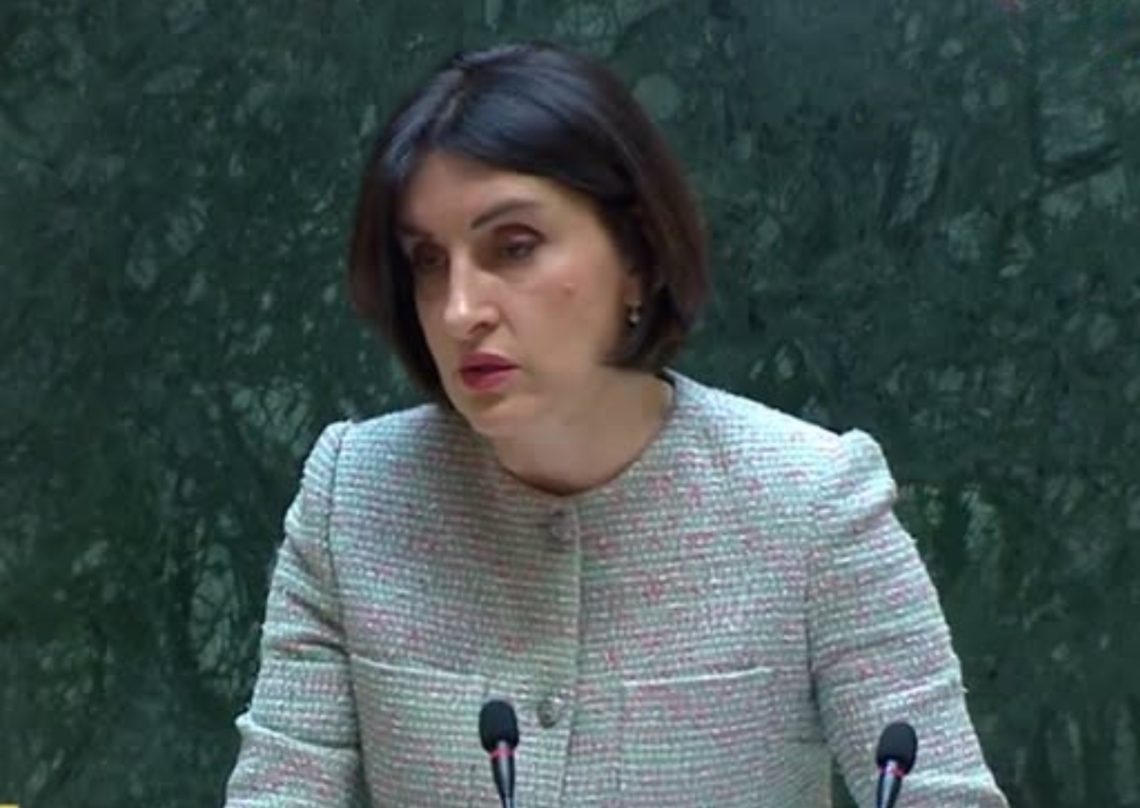 “კიდევ ერთხელ ხმამაღლა შეგვიძლია დღეს აქ განვაცხადოთ – საქმე შანტაჟის ნაცვლად” – მაკა ბოჭორიშვილი