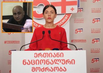 “სათქმელი ბევრია – იმაზე მეტი, ვიდრე აქამდე საქართველოს მოქალაქეებს გაუგიათ ჩემგან…მაგრამ ამაზე საჯაროდ და სრულად ვისაუბრებთ მაშინ, როცა თავისუფლებაზე იქნები” – ანა წითლიძე ნიკა მელიას