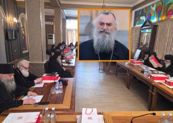 მეუფე ნიკოლოზის თქმით, სინოდის სხდომაზე პატრიარქობის კანდიდატის ასაკობრივ ცენზსა და განათლებაზე კამათი იყო