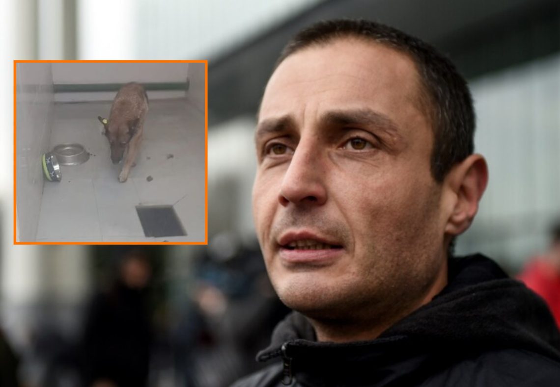 ” სრული ანტისანიტარია, მომაკვდავი ძაღლი, ექსკრემენტები, გატაცებული და გადამალული ძაღლები” – ლაშა ჩხარტიშვილი “მეტრონომთან”