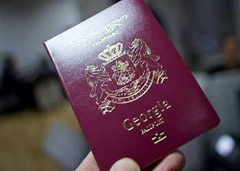 2025 წელს საქართველოს მოქალაქეობა 2 333 ადამიანს მიენიჭა, 1 426 პირს კი შეუწყდა – საქსტატი