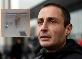 ” სრული ანტისანიტარია, მომაკვდავი ძაღლი, ექსკრემენტები, გატაცებული და გადამალული ძაღლები” – ლაშა ჩხარტიშვილი “მეტრონომთან”