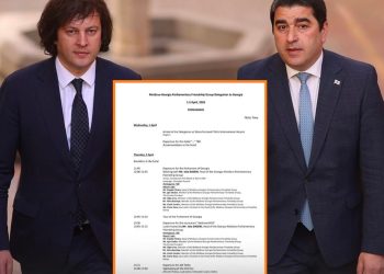 “მოლდოვასთან ურთიერთობების იმიტაციის მიზნით, საქართველოში მიიწვიეს რუსი კონსერვატორების დელეგაცია მოლდოვის პარლამენტიდან” – Watchdog.md-ის დამფუძნებელი