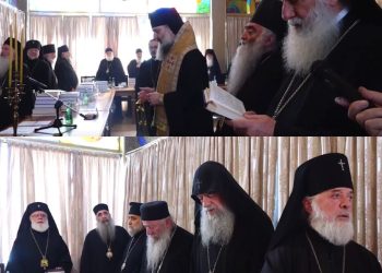 საპატრიარქო სინოდის სხდომის ვიდეოკადრებს ავრცელებს