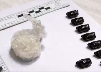 შსს-ს თანამშრომლებმა სარეალიზაციოდ გამზადებული განსაკუთრებით დიდი ოდენობით ნარკოტიკი ამოიღეს, დაკავებულია უცხო ქვეყნის მოქალაქე