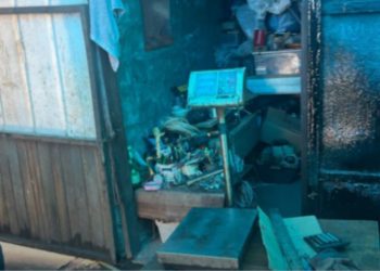 სურსათის ეროვნულმა სააგენტომ ფოთში, თევზის შესაბოლ არალეგალურ საწარმოში კრიტიკული შეუსაბამობები გამოავლინა