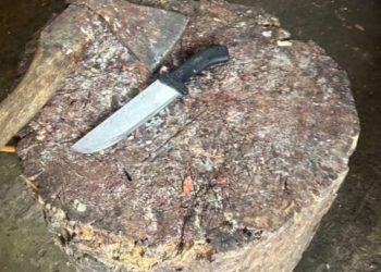 ჩხოროწყუში სასაკლაოს გვერდის ავლით საქონლის დაკვლის ფაქტი გამოვლინდა