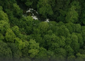 წალენჯიხის, ჩხოროწყუსა და მარტვილის მუნიციპალიტეტების ადმინისტრაციულ საზღვარში ახალი დაცული ტერიტორია – ეგრისის ეროვნული პარკი შეიქმნება