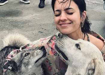 “მრავალმა გულდასაწყვეტმა წერილმა გამაღვიძა, რომელიც საქართველოში უპატრონო ძაღლების გაუჩინარებას უკავშირდება. გთხოვთ, მომაწოდოთ რაც შეიძლება მეტი ინფორმაცია” – ნინა დრამა