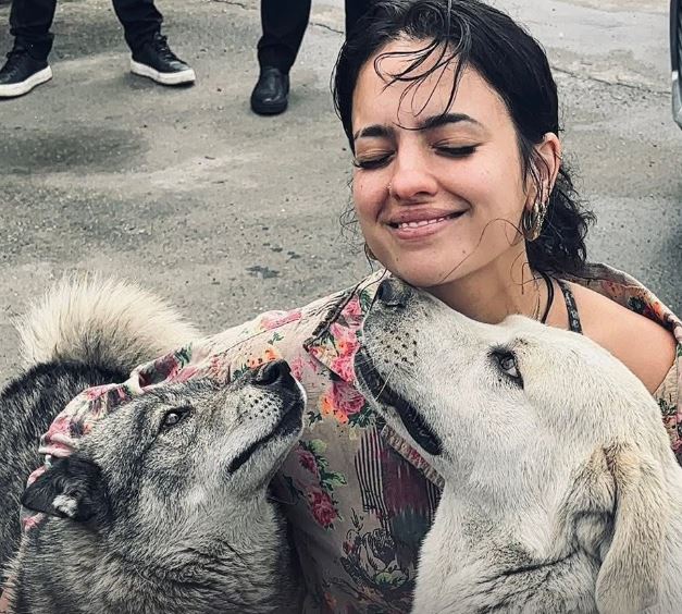 “მრავალმა გულდასაწყვეტმა წერილმა გამაღვიძა, რომელიც საქართველოში უპატრონო ძაღლების გაუჩინარებას უკავშირდება. გთხოვთ, მომაწოდოთ რაც შეიძლება მეტი ინფორმაცია” – ნინა დრამა